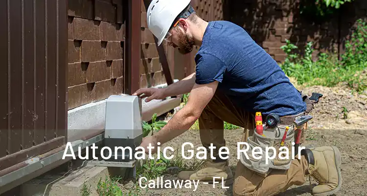  Automatic Gate Repair Callaway - FL
