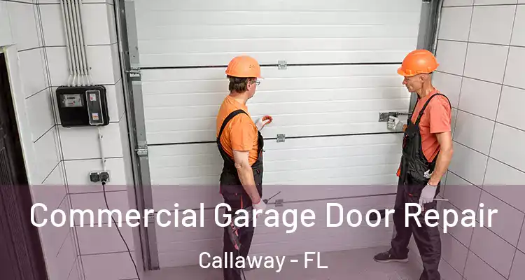  Commercial Garage Door Repair Callaway - FL
