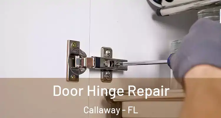  Door Hinge Repair Callaway - FL