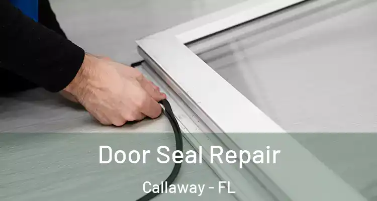  Door Seal Repair Callaway - FL