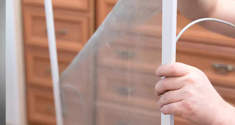 Privacy Mesh Screen Door Installation in Callaway, FL