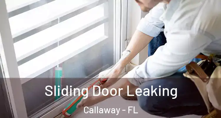  Sliding Door Leaking Callaway - FL
